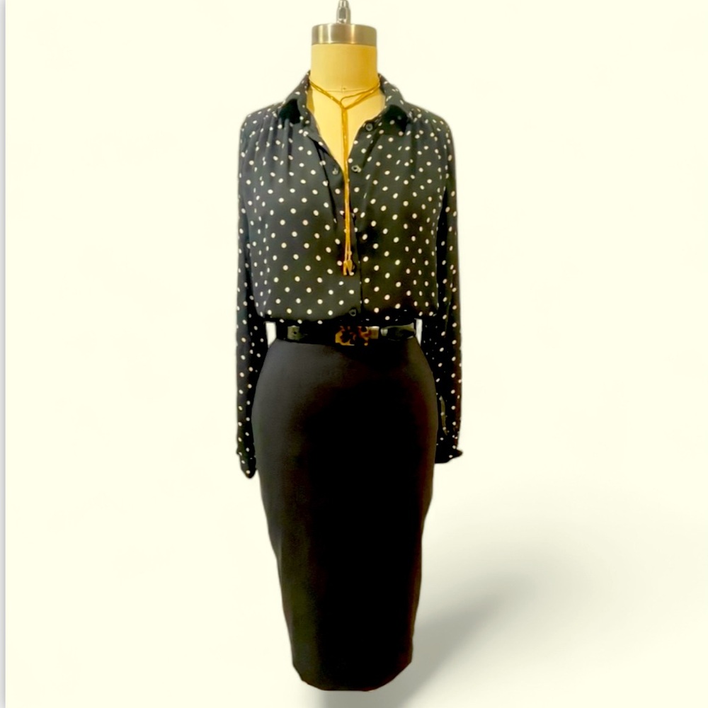 Dressy blouse Polk a dot lightweight fabric button front collared blouse